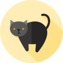 animals,spooky,scary,halloween,horror,terror,fear,black cat,frightening